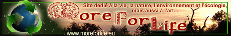More For Life, le site d�di� � la vie, la nature l'environnement et l'art...